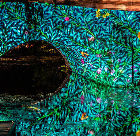 Chartres en lumières, illumination des bords de l'Eure, 2018 – Ville de Chartres