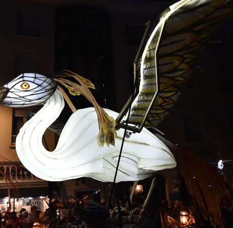 Fête de la lumière 2019 – Chartres en lumières