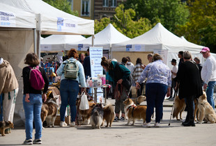 Les stands de la journ&eacute;e de l'animal &agrave; Chartres