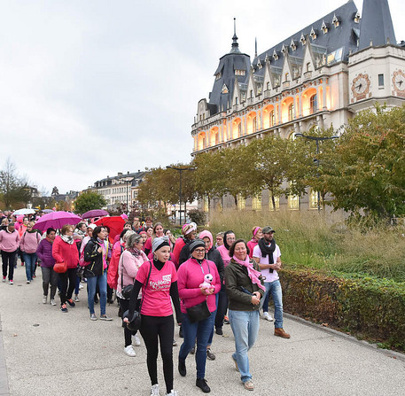 Illumination de la cathédrale en rose pour Octobre rose, avec Les Flammes en Rose – Ville de Chartres