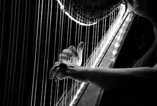 Rencontre harpiste