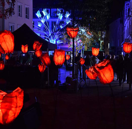 Spectacle musical « Le Chant des coquelicots », de FredAndCo / Les Allumantes, place du Cygne – Ville de Chartres