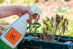 Les produits phytosanitaires interdits aux particuliers – Ville de Chartres