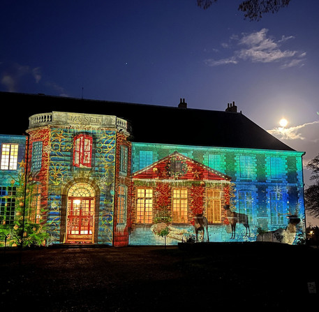 Chartres en lumi&egrave;res illumine le mus&eacute;e des Beaux-arts &agrave; No&euml;l