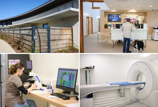 Différents espaces de la clinique vétérinaire des Sablons : extérieur, hall d'accueil, laboratoire, scanner