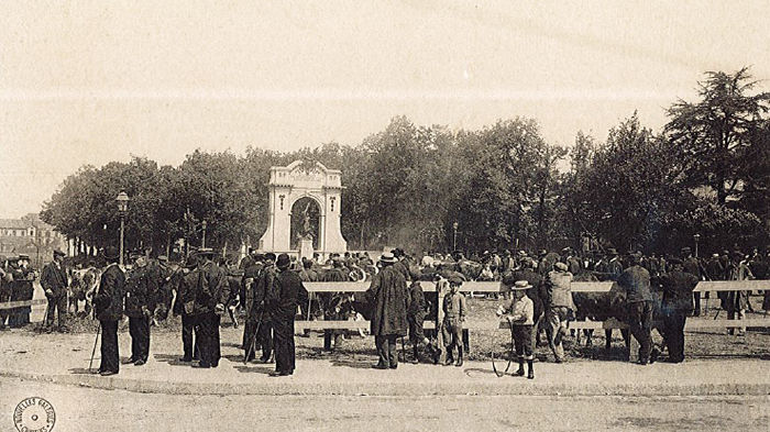 Foire de la Saint-André, foire aux bestiaux – Ville de Chartres