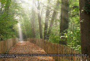 Une all&eacute;e ensoleill&eacute;e dans le parc du Rigeard.