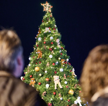 Un couple contemple le sapin de No&euml;l illumin&eacute;, place des &Eacute;pars &agrave; Chartres.