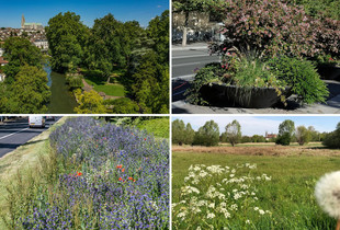 Différents espaces végétalisés à Chartres : parc, prairie, jardinières et bords de route fleuris