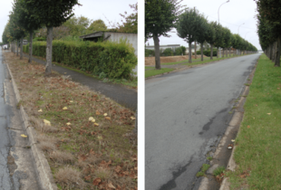 Enherber pour ne plus désherber – Zéro phyto – Ville de Chartres