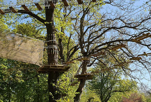 Parc d'accrobranche AccroCamp : parcours dans les arbres