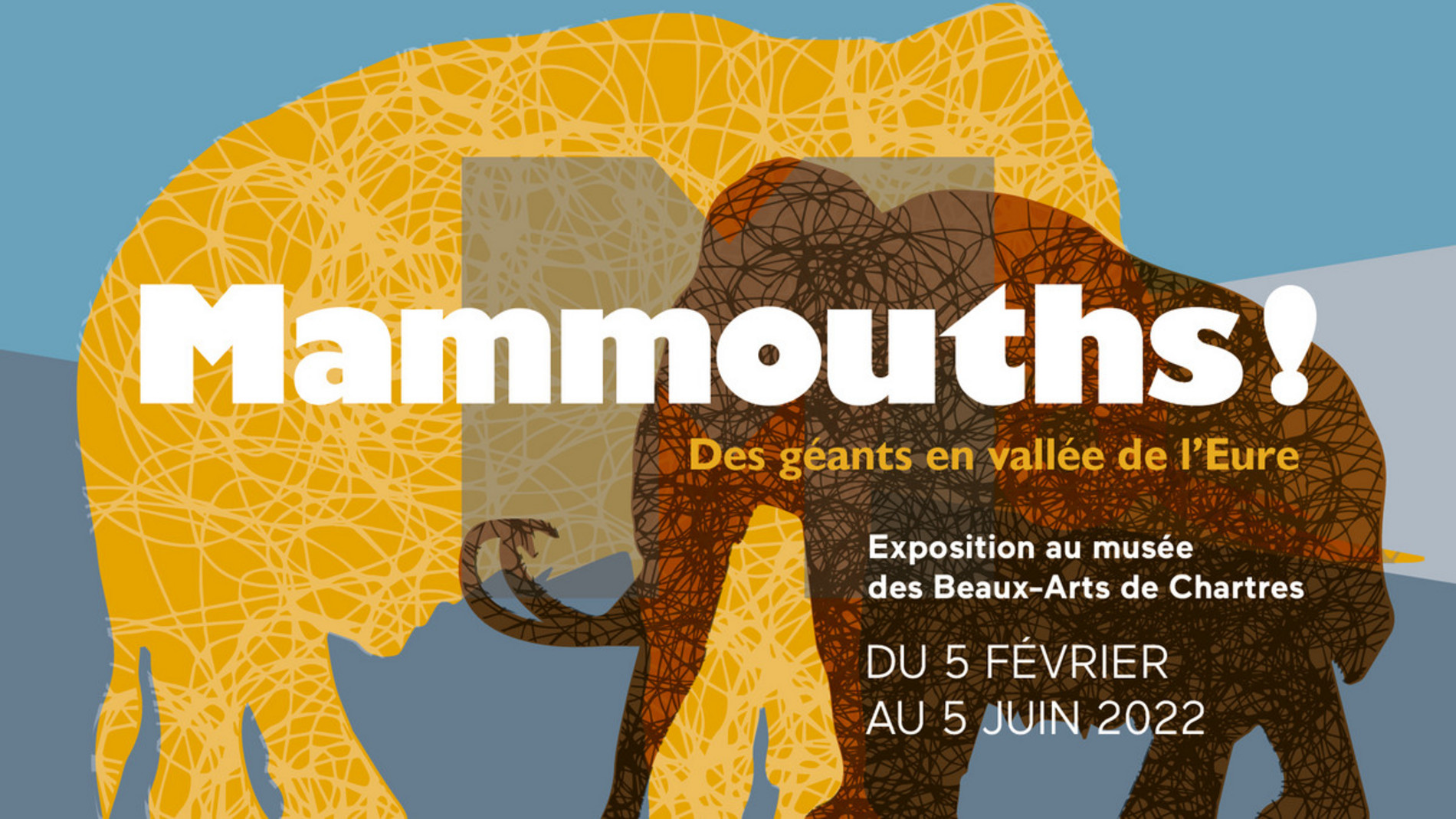 Mammouths, des géants en vallée de l’Eure – Musée des Beaux-arts