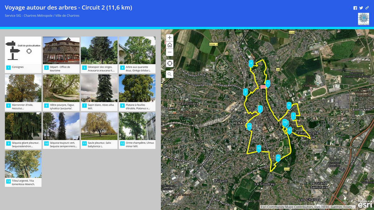 Cliquer pour accéder au circuit « Grand voyage autour des arbres »