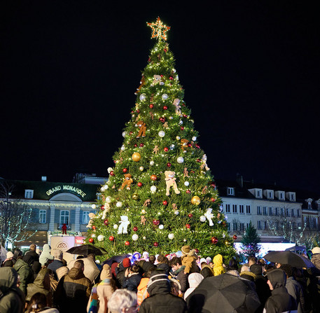 Une grande foule est r&eacute;unie au pied du sapin de No&euml;l, place des &Eacute;pars &agrave; Chartres.