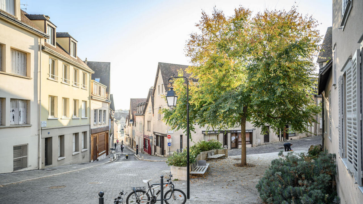 Orme de Sibérie, place Jacqueline-de-Romilly – Ville de Chartres