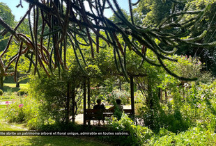 vue sur un jardin de la ville