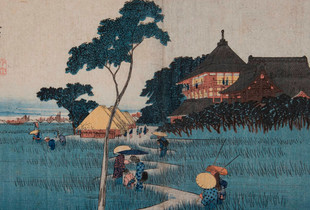 Exposition Japon rizière au Compa