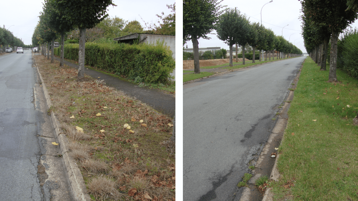 Enherber pour ne plus désherber – Zéro phyto – Ville de Chartres