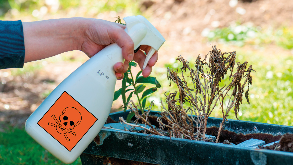 Les produits phytosanitaires interdits aux particuliers – Ville de Chartres