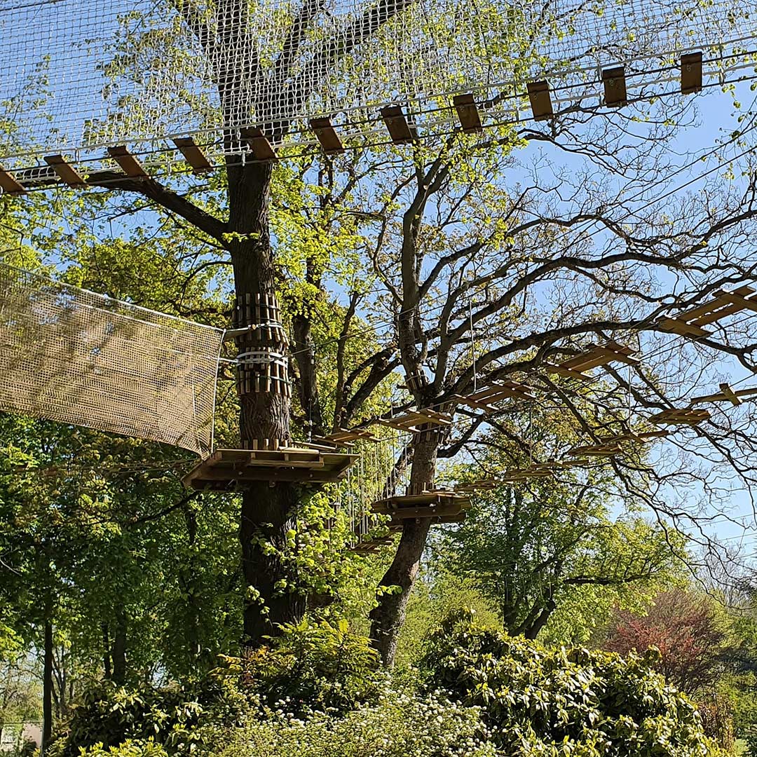 Parc d'accrobranche AccroCamp : parcours dans les arbres