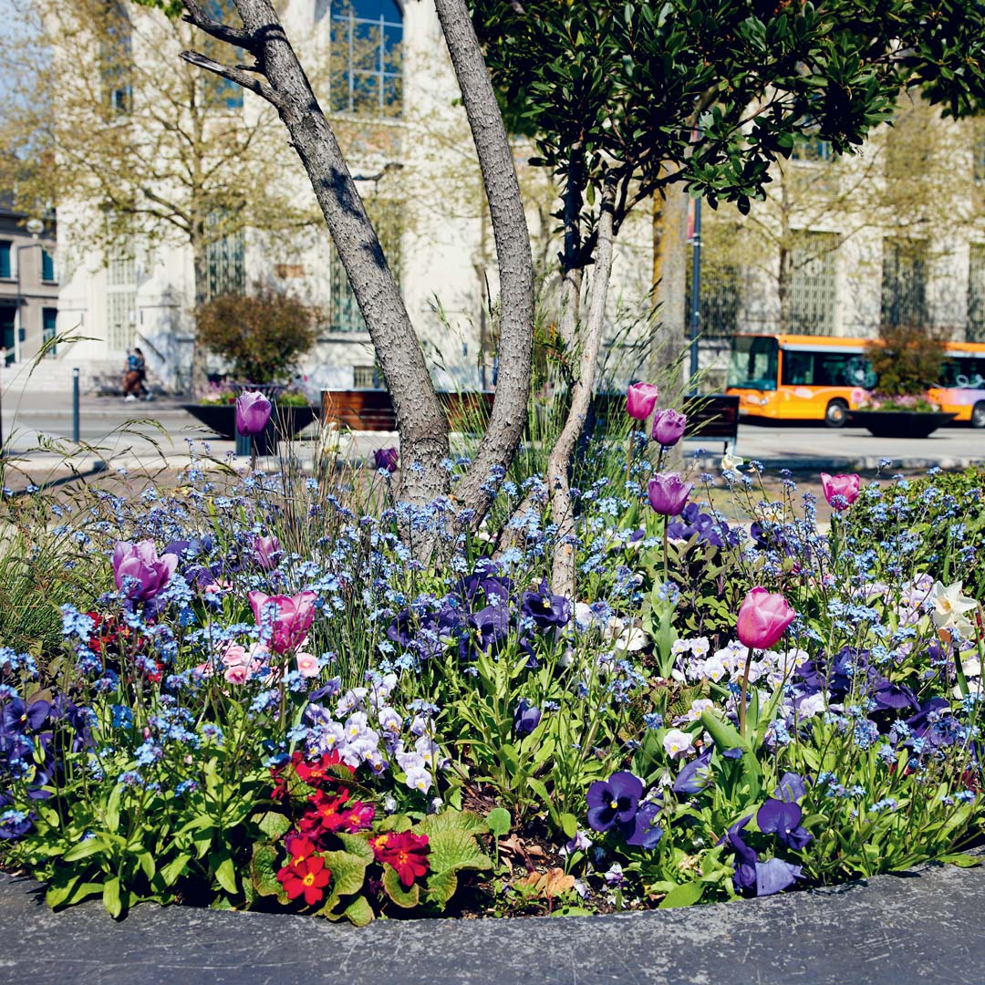 Jardinière fleurie en cœur de ville de Chartres