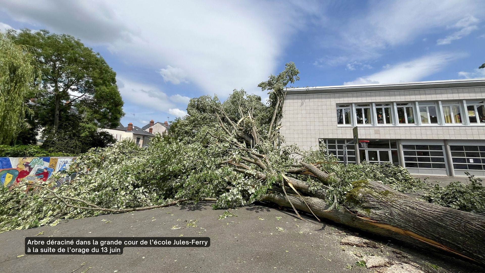 Arbre déraciné dans la grande cour de l’école Jules-Ferry à la suite de l’orage du 13 juin