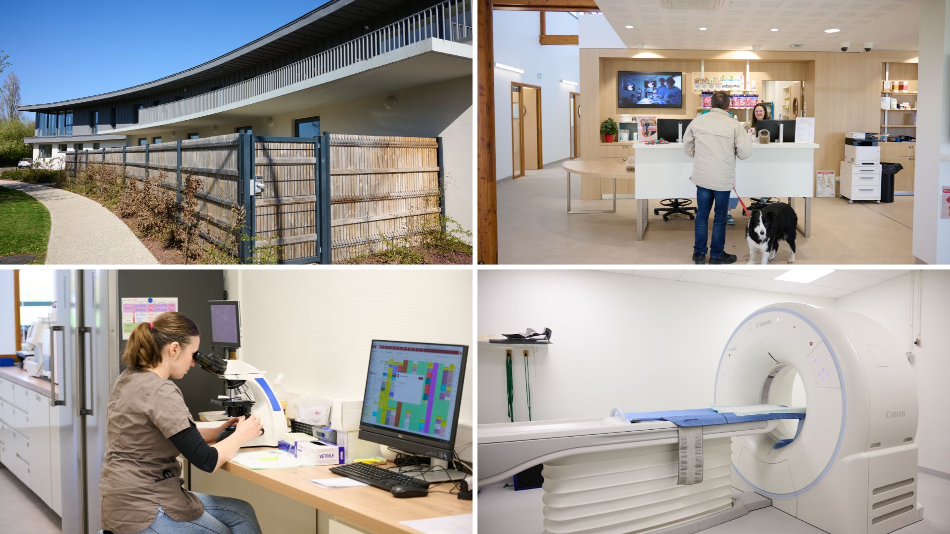 Différents espaces de la clinique vétérinaire des Sablons : extérieur, hall d'accueil, laboratoire, scanner