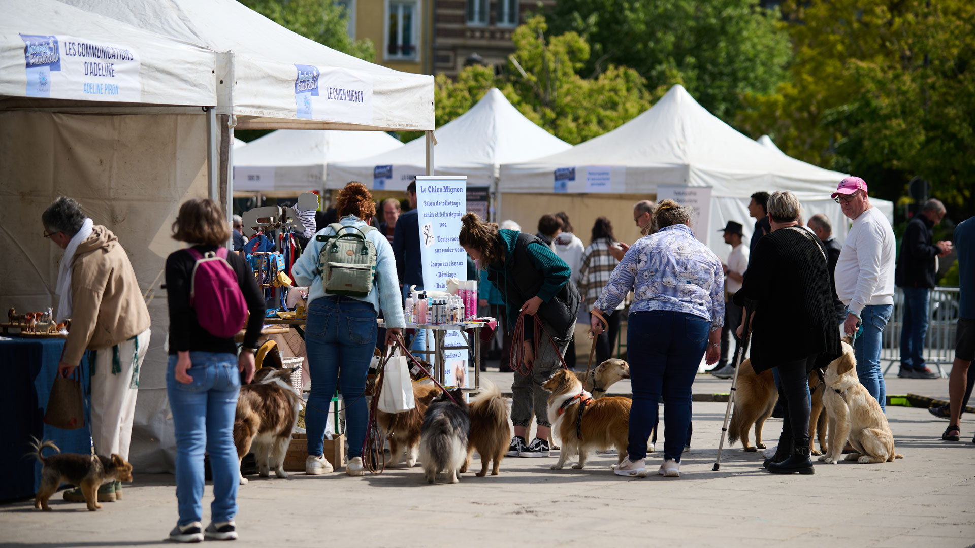 Les stands de la journ&eacute;e de l'animal &agrave; Chartres