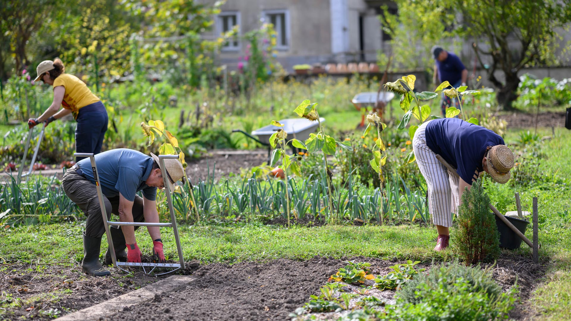 Atelier jardinage « Au jardin » sur l'île Hébert - Chartres