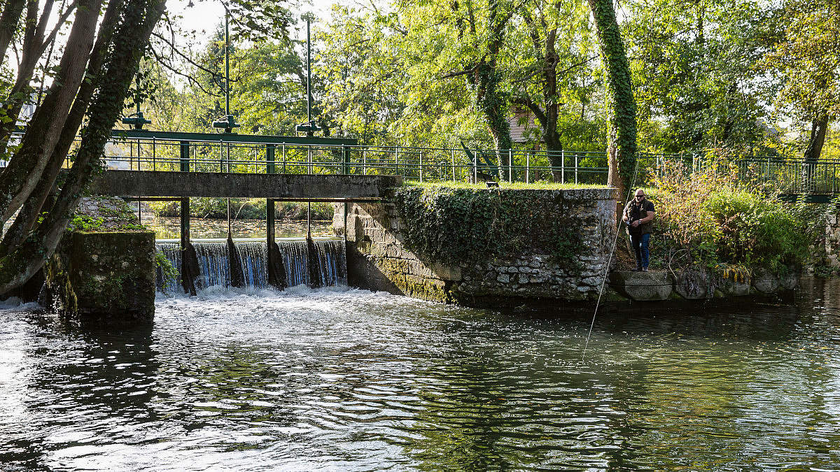 Espaces verts du quartier Clos l'Évêque / Filles-Dieu : parc Léon-Blum – Ville de Chartres