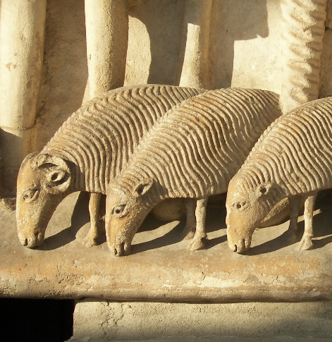 9. Moutons de l’Annonce aux bergers. Portail royal. Cathédrale de Chartres