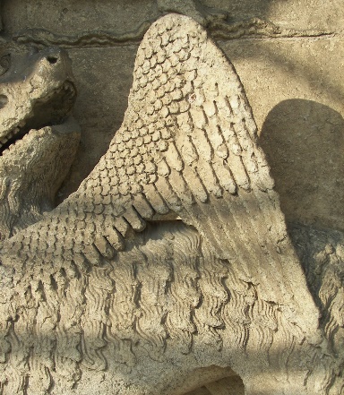 13. Détail de l’aile d’un lion. Portail Royal. Cathédrale de Chartres