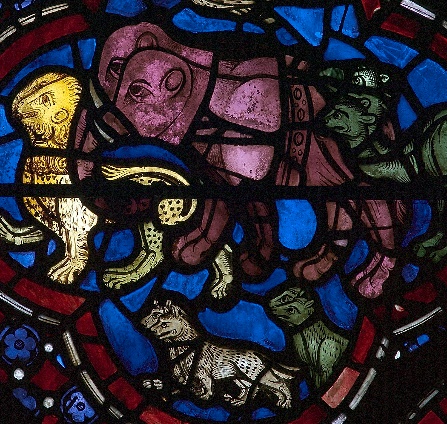 40. Les Animaux qui s’apprêtent à monter dans l’arche de Noé. Bas-côté nord de la nef. Cathédrale de Chartres