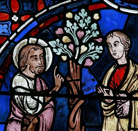 45. Le Christ appelant Nathanaël sous le figuier. Déambulatoire, position axiale. Cathédrale de Chartres